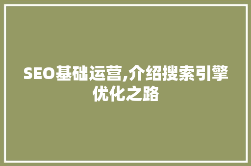 SEO基础运营,介绍搜索引擎优化之路