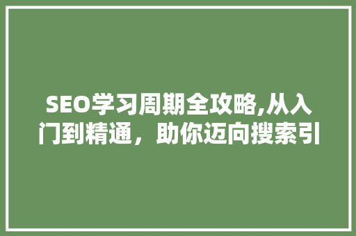 SEO学习周期全攻略,从入门到精通，助你迈向搜索引擎优化高手