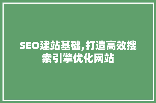 SEO建站基础,打造高效搜索引擎优化网站