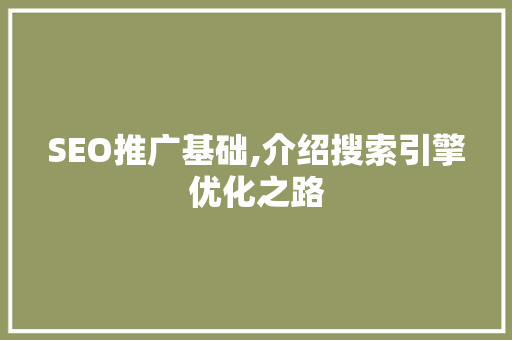SEO推广基础,介绍搜索引擎优化之路