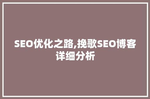 SEO优化之路,挽歌SEO博客详细分析
