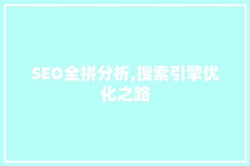 SEO全拼分析,搜索引擎优化之路