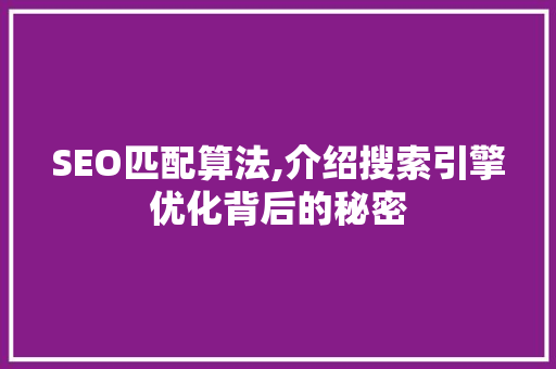 SEO匹配算法,介绍搜索引擎优化背后的秘密