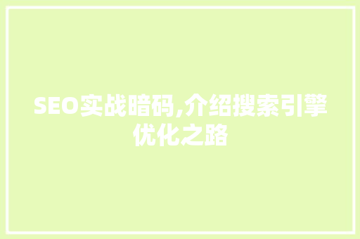 SEO实战暗码,介绍搜索引擎优化之路