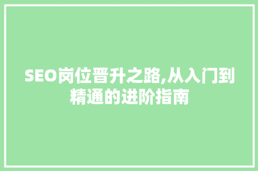 SEO岗位晋升之路,从入门到精通的进阶指南