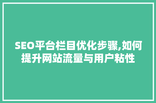 SEO平台栏目优化步骤,如何提升网站流量与用户粘性