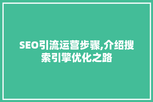 SEO引流运营步骤,介绍搜索引擎优化之路