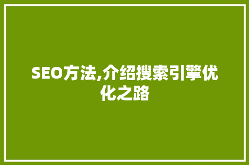 SEO方法,介绍搜索引擎优化之路