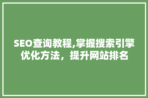 SEO查询教程,掌握搜索引擎优化方法，提升网站排名