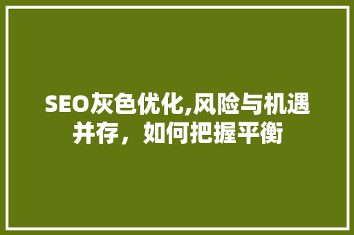 SEO灰色优化,风险与机遇并存，如何把握平衡