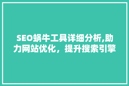 SEO蜗牛工具详细分析,助力网站优化，提升搜索引擎排名
