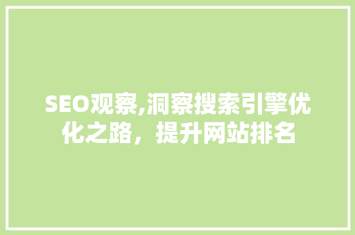 SEO观察,洞察搜索引擎优化之路，提升网站排名