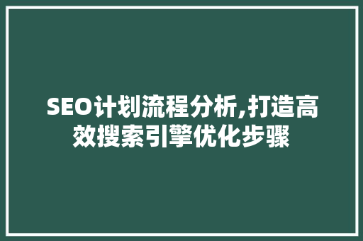 SEO计划流程分析,打造高效搜索引擎优化步骤
