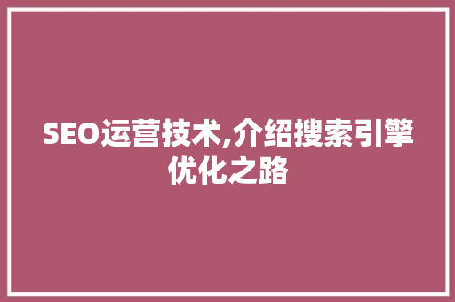 SEO运营技术,介绍搜索引擎优化之路
