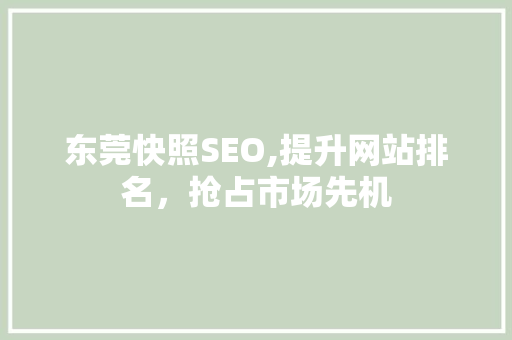 东莞快照SEO,提升网站排名，抢占市场先机