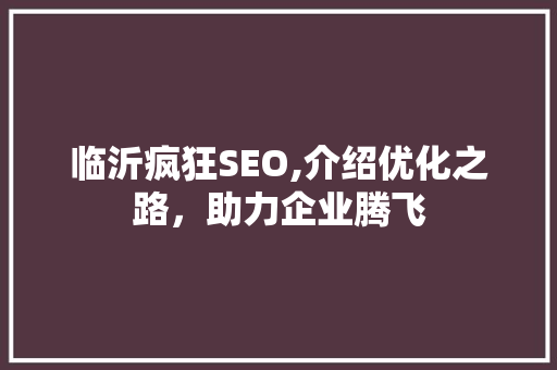 临沂疯狂SEO,介绍优化之路，助力企业腾飞
