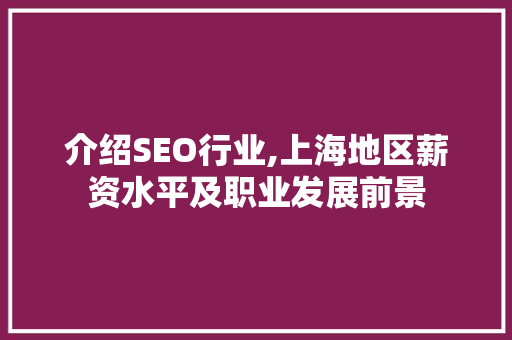 介绍SEO行业,上海地区薪资水平及职业发展前景