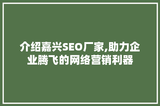 介绍嘉兴SEO厂家,助力企业腾飞的网络营销利器