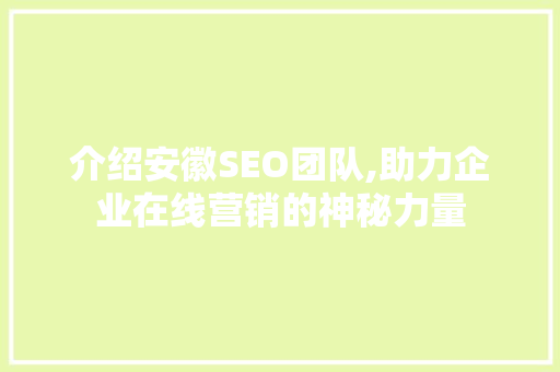 介绍安徽SEO团队,助力企业在线营销的神秘力量