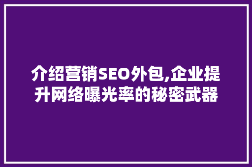 介绍营销SEO外包,企业提升网络曝光率的秘密武器