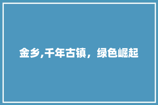 金乡,千年古镇，绿色崛起
