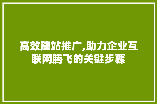 高效建站推广,助力企业互联网腾飞的关键步骤