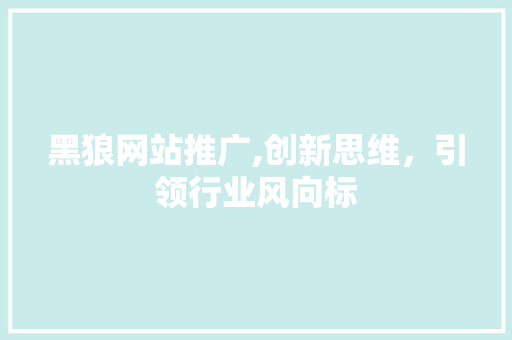 黑狼网站推广,创新思维，引领行业风向标
