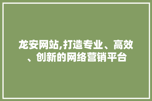 龙安网站,打造专业、高效、创新的网络营销平台