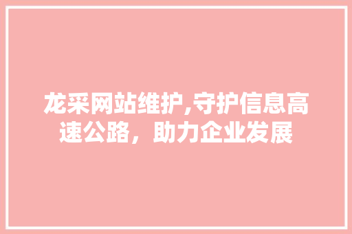 龙采网站维护,守护信息高速公路，助力企业发展