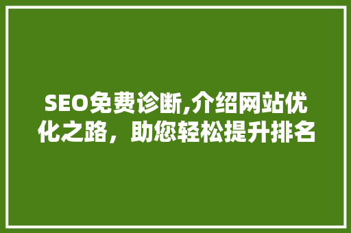 SEO免费诊断,介绍网站优化之路，助您轻松提升排名