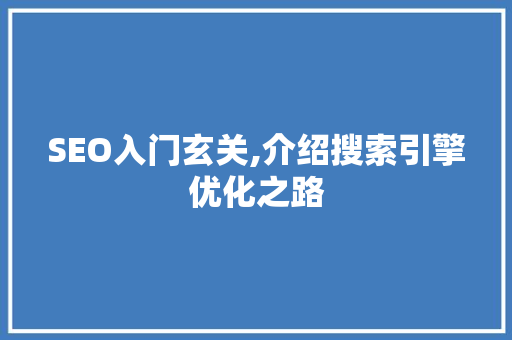 SEO入门玄关,介绍搜索引擎优化之路
