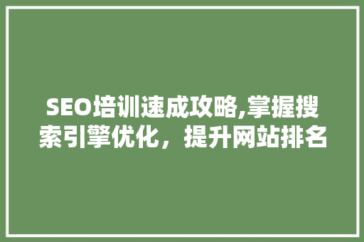 SEO培训速成攻略,掌握搜索引擎优化，提升网站排名