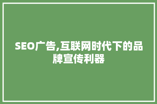 SEO广告,互联网时代下的品牌宣传利器