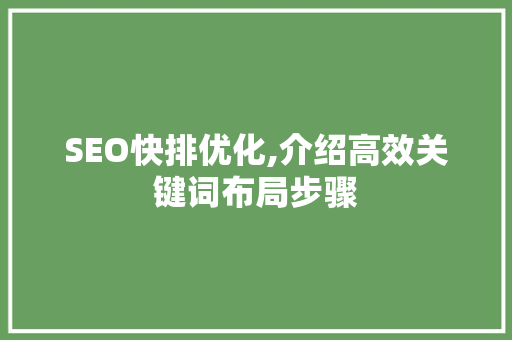 SEO快排优化,介绍高效关键词布局步骤