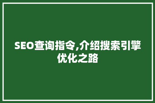 SEO查询指令,介绍搜索引擎优化之路