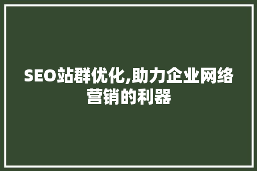 SEO站群优化,助力企业网络营销的利器
