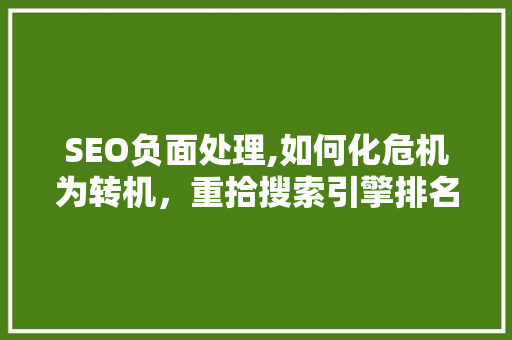 SEO负面处理,如何化危机为转机，重拾搜索引擎排名