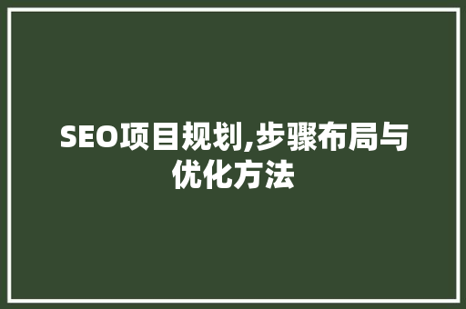 SEO项目规划,步骤布局与优化方法