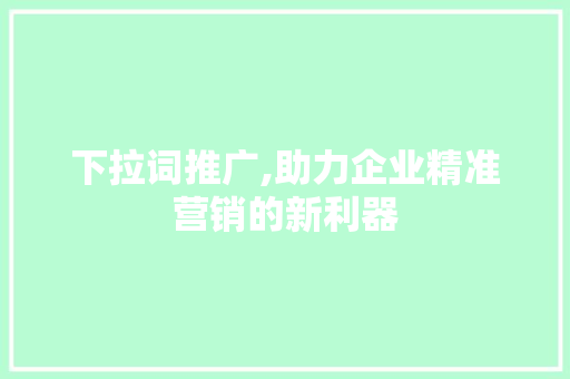 下拉词推广,助力企业精准营销的新利器