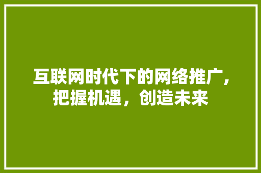 互联网时代下的网络推广,把握机遇，创造未来