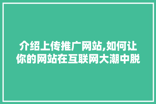 介绍上传推广网站,如何让你的网站在互联网大潮中脱颖而出