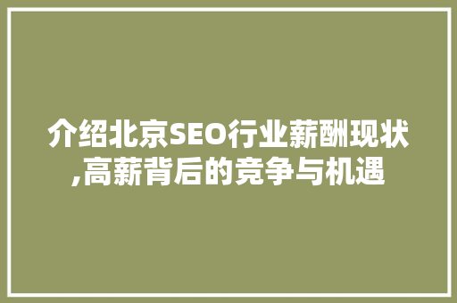 介绍北京SEO行业薪酬现状,高薪背后的竞争与机遇