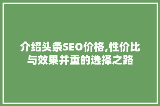 介绍头条SEO价格,性价比与效果并重的选择之路