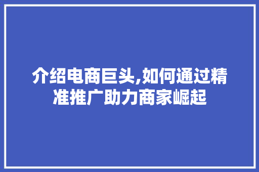 介绍电商巨头,如何通过精准推广助力商家崛起