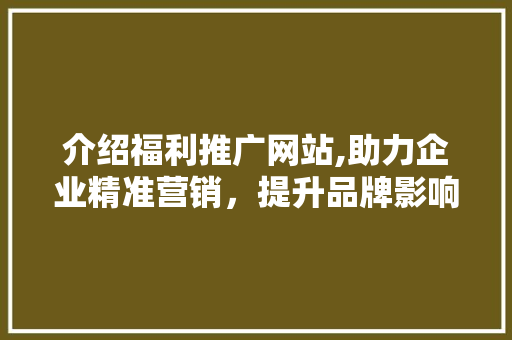 介绍福利推广网站,助力企业精准营销，提升品牌影响力