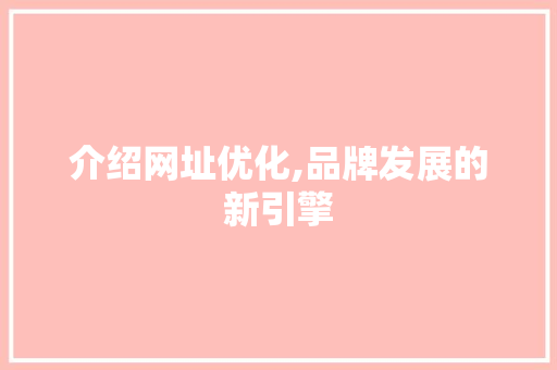 介绍网址优化,品牌发展的新引擎