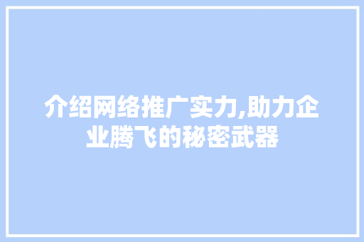 介绍网络推广实力,助力企业腾飞的秘密武器