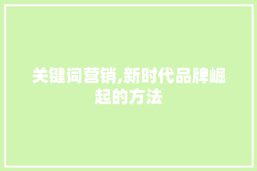 关键词营销,新时代品牌崛起的方法
