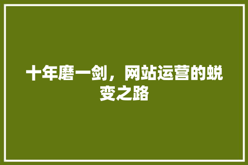 十年磨一剑，网站运营的蜕变之路