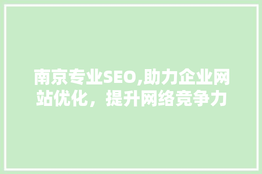 南京专业SEO,助力企业网站优化，提升网络竞争力